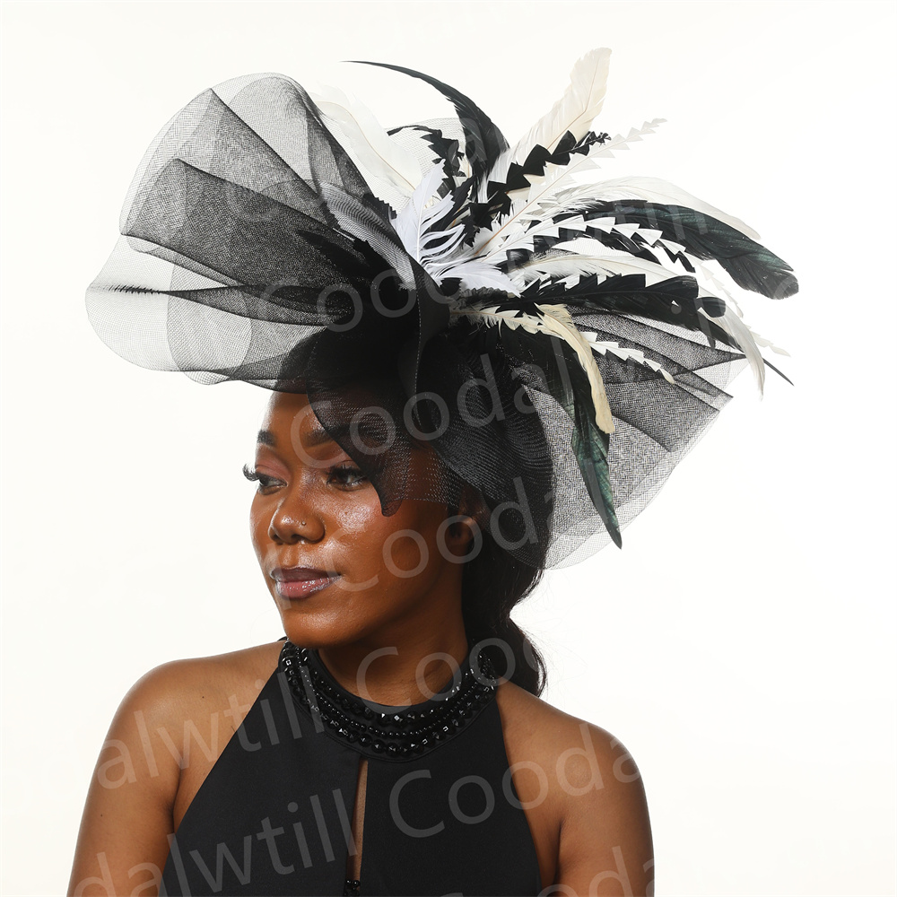 Schwarz-Weiß-Derby Fascinator  – Women'S Fashion Kentucky Derby Bewertung und Preis